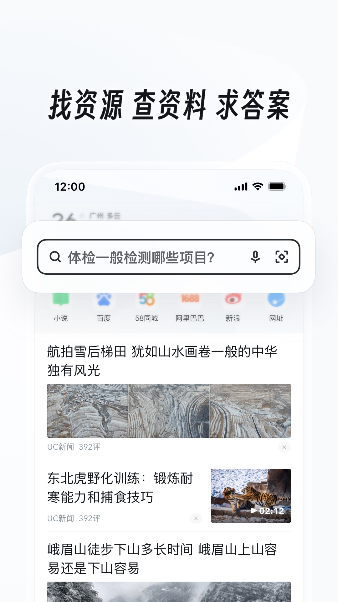 长腿昆虫,身体很小,退细长截图